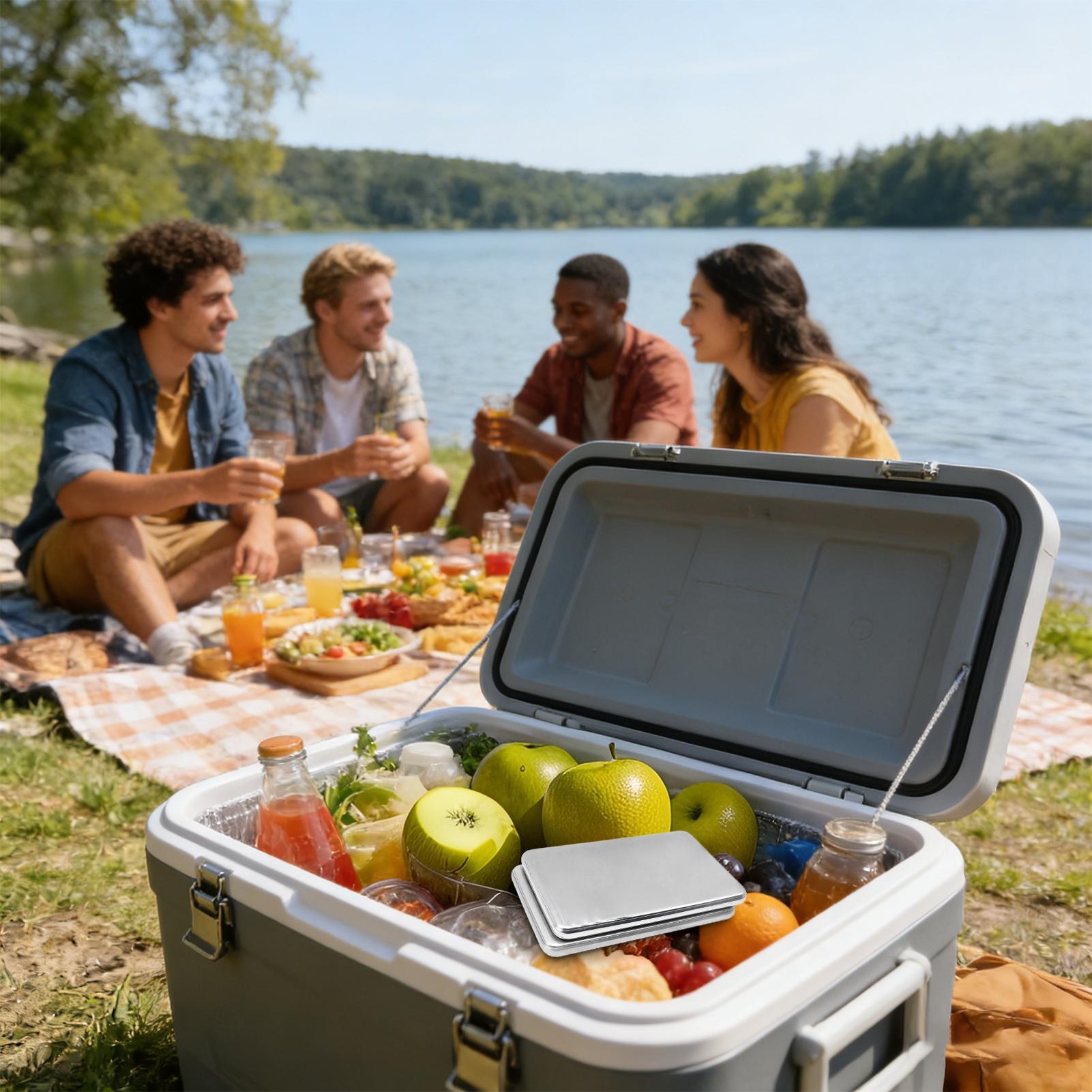 2pcs Stainless Steel Ice Packs - đánh giá và giá Camping Cooking Box